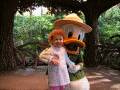 Donald_16