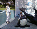 RidingthewhaleSeaWorld_28